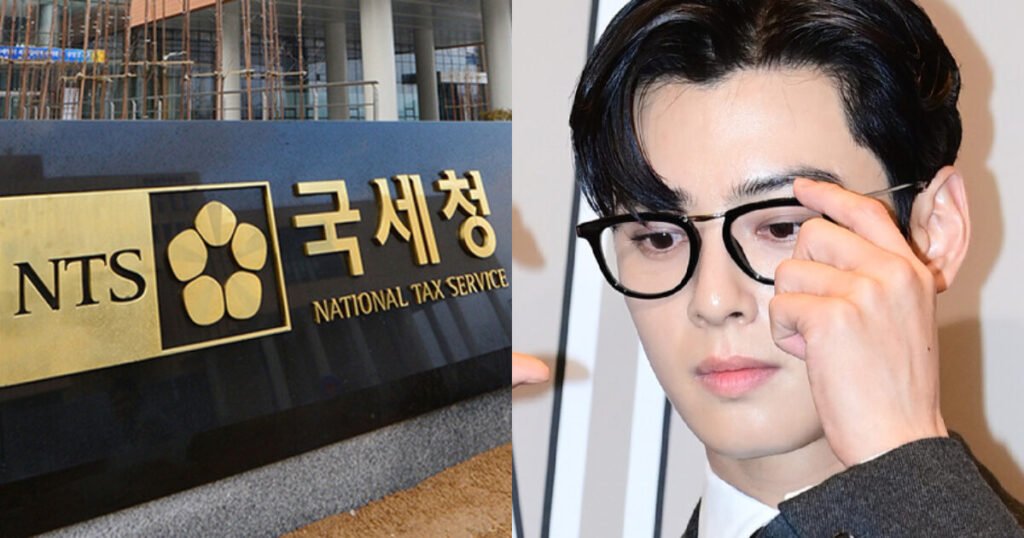 Former Tax Investigator Says Cha Eunwoo Was Not The Original “Target” Former Tax Investigator Says Cha Eunwoo Was Not The Original "Target"