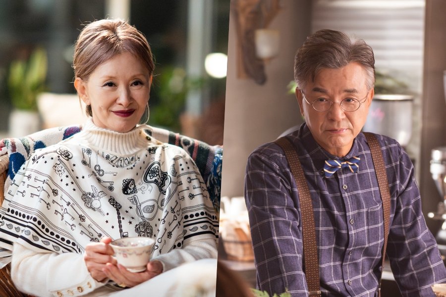 Lee Mi Sook Reunites With Her First Love Kang Suk Woo Through Lee Sung Kyung In New Romance Drama