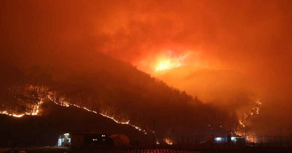 Two People Behind Korea’s Worst-Ever Wildfires Finally Sentenced, Netizens Left Flabbergasted