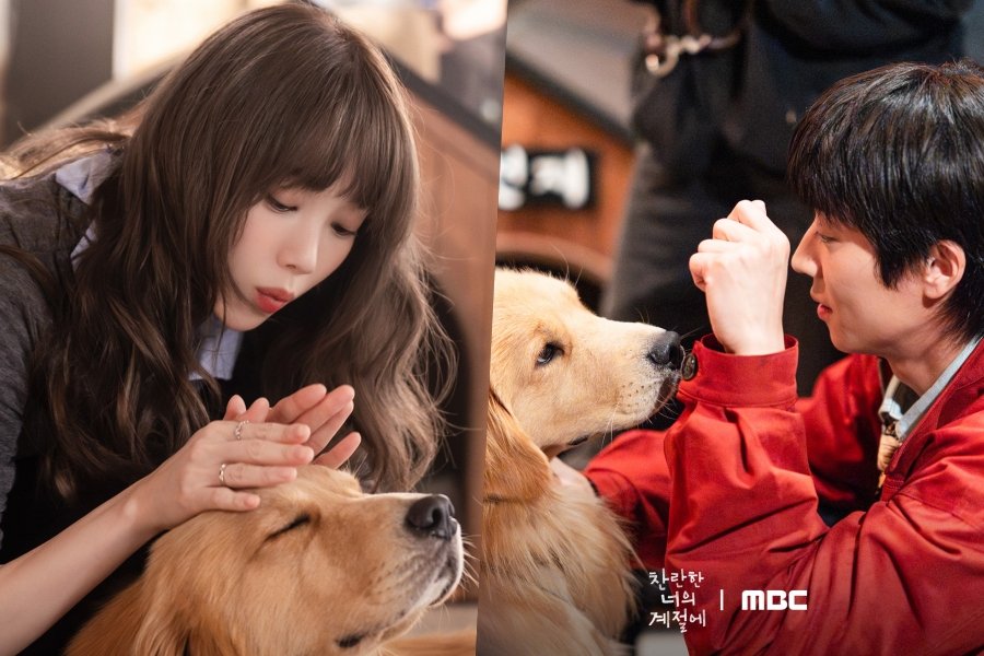 Lee Sung Kyung, Chae Jong Hyeop, And More Bring Warmth And Bright Energy To The Set Of “In Your Radiant Season”
