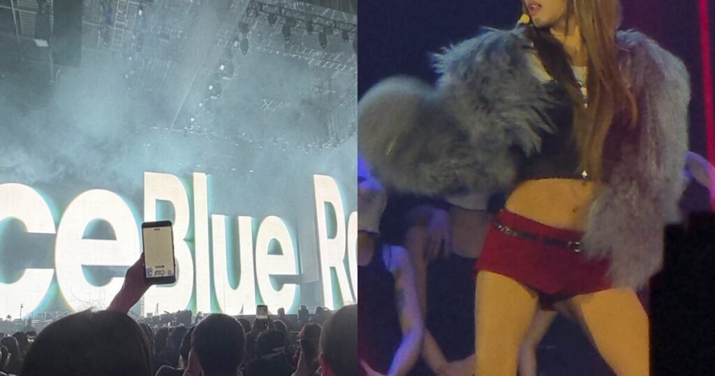 Top K-Pop Idol Fleeces Haters With Secret "Social Experiment" Success