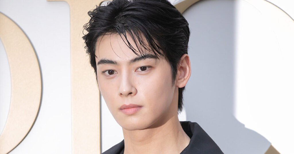 National Assembly Proposes The “Cha Eunwoo Prevention Act” National Assembly Proposes The "Cha Eunwoo Prevention Act"