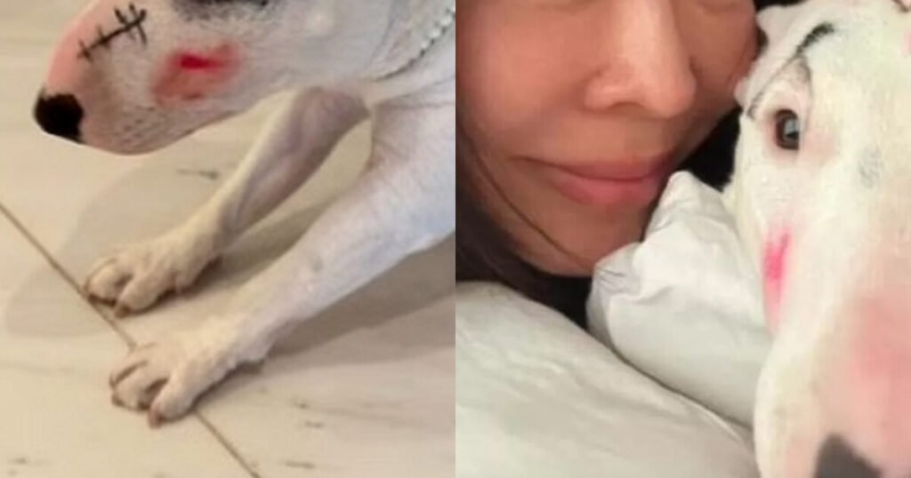 Popular Actress Embroiled In Abuse Controversy, Triggers Massive Backlash Popular Actress Embroiled In Abuse Controversy, Triggers Massive Backlash