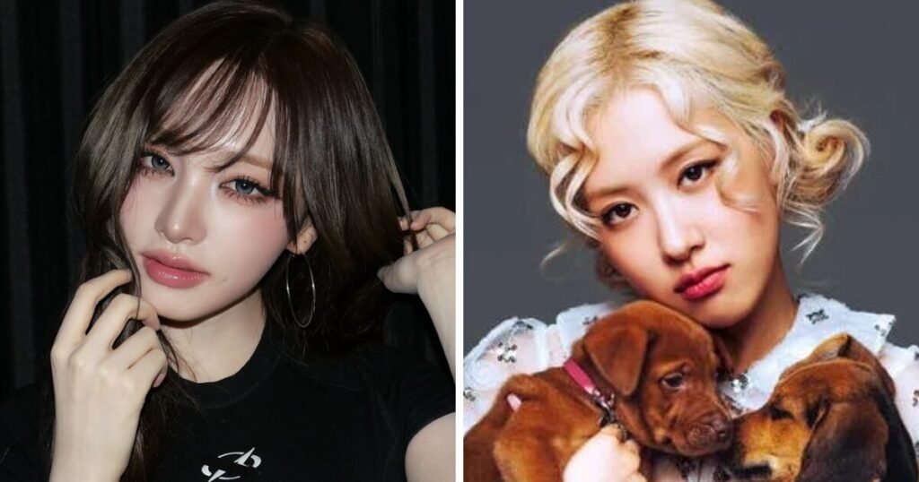 BLACKPINK Rosé Video Linked To IVE Liz's Power Trip Controversy Is Going Viral 