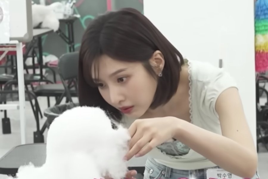 Watch: Red Velvet's Joy Reveals She's Studying For A Pet Grooming Certification In "Home Alone" Preview