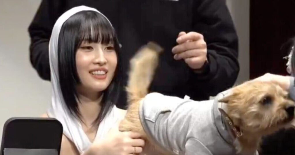 Fan In The Viral TWICE’s Momo Video Directly Speaks Up Against Recent Allegations Fan In The Viral TWICE’s Momo Video Directly Speaks Up Against Recent Allegations