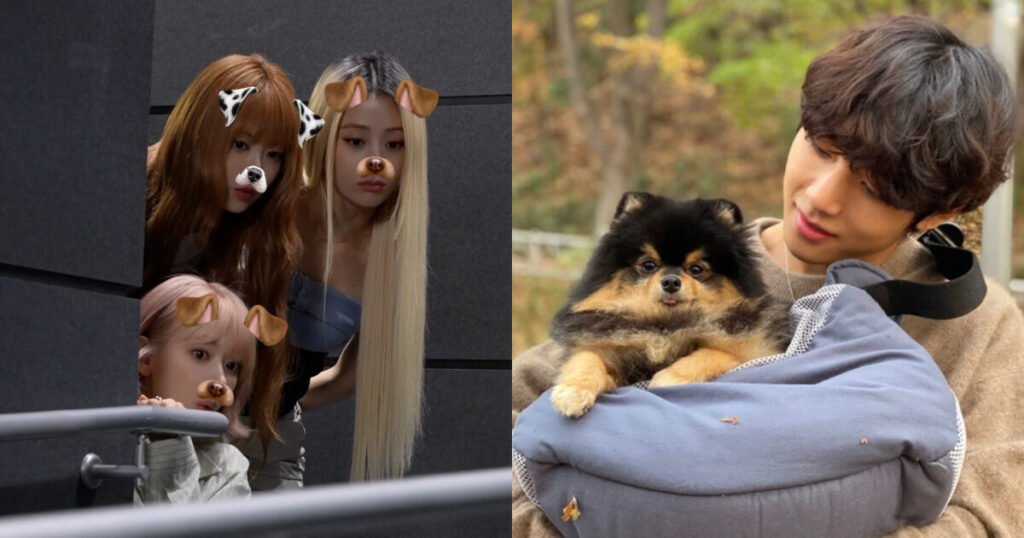 LE SSERAFIM’s Recent Video Allegedly Uses BTS V’s Dog For Content