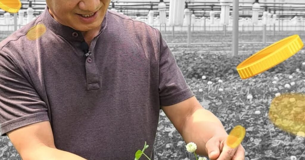 The Korean Man Who Makes $1 Million A Year By… Picking Leaves? The Korean Man Who Makes $1 Million A Year By... Picking Leaves?