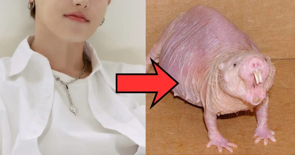 K-Pop Idol Apologizes For Calling 15-Year-Old Fan A "Naked Mole Rat"
