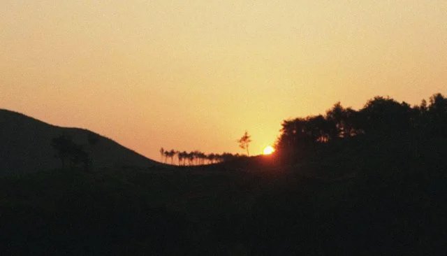 [New Documentary] "After Last Summer" (2026/08/01)